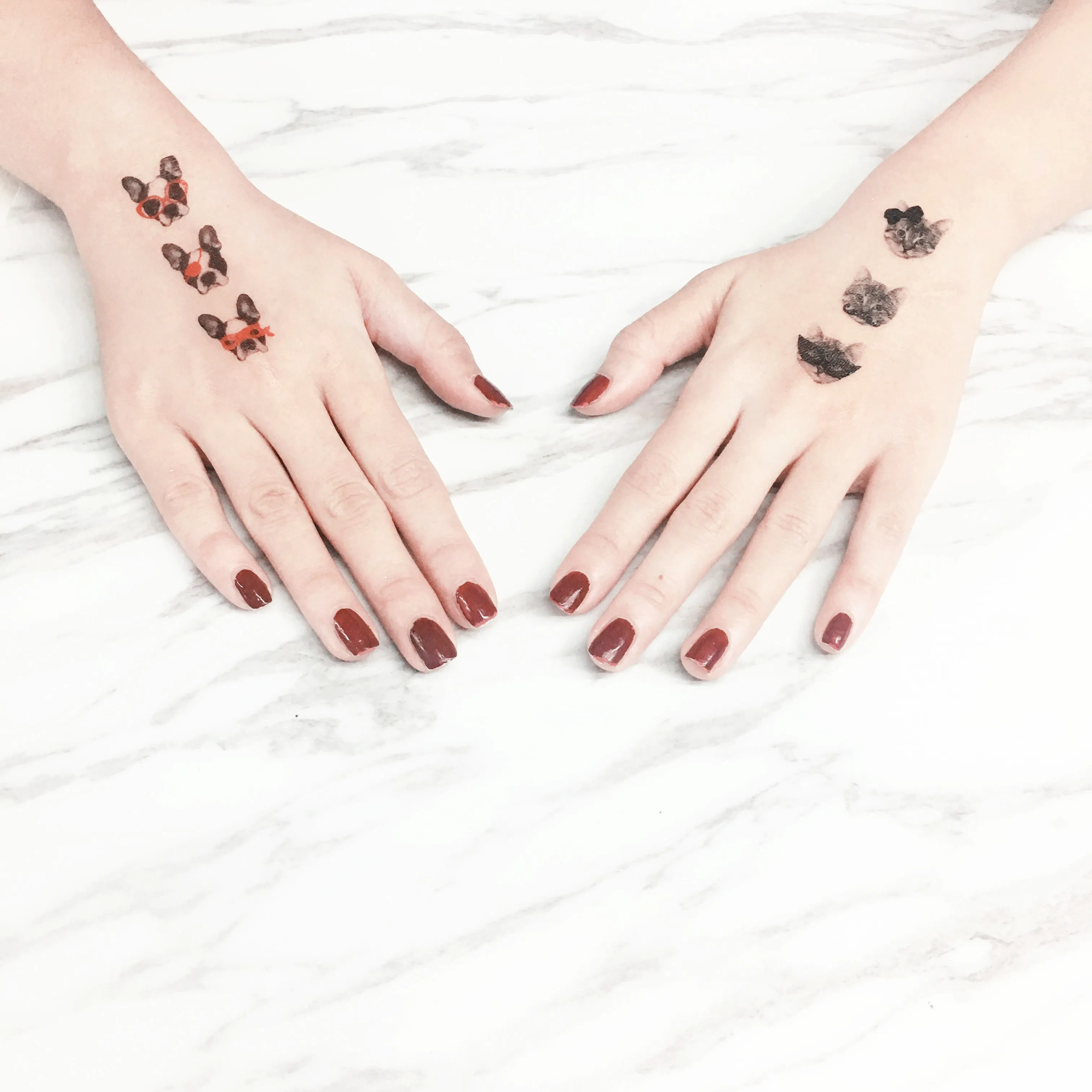 3 of a Kind Cats Temporary Tattoo