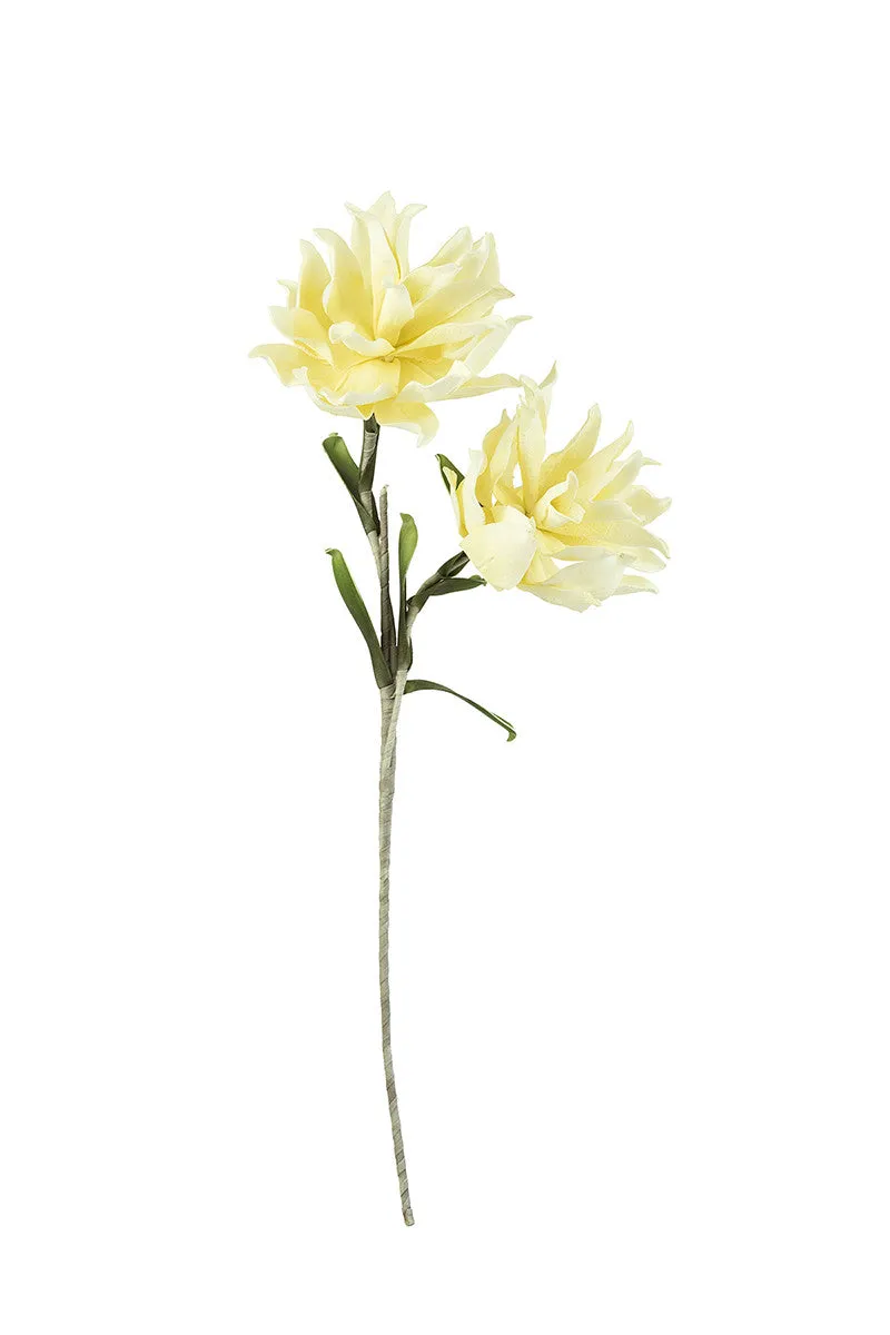 Amilia Botanica #2415