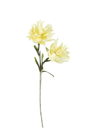 Amilia Botanica #2415