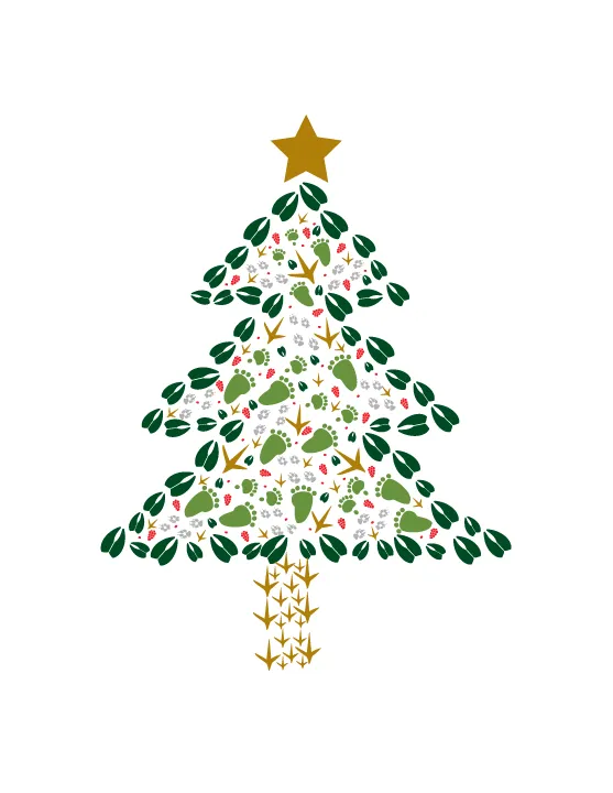 Animal Track Christmas Cards - Multi Pack