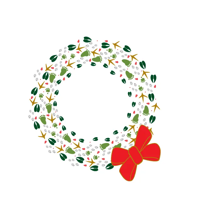Animal Track Christmas Cards - Multi Pack