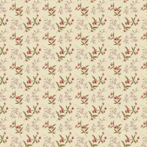 Edyta Sitar | Dahlia | Coralberry | Dawn