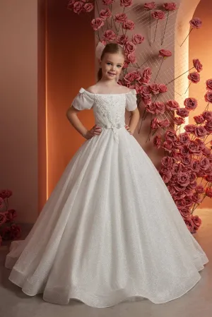 Elegant Lace Princess Dress