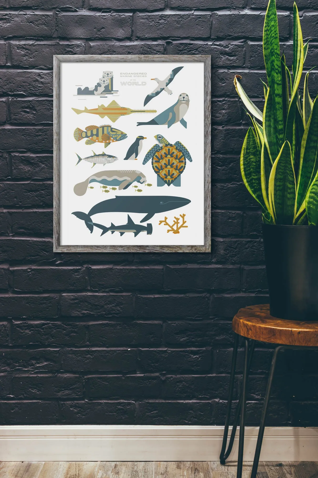 Endangered Marine Species of the World