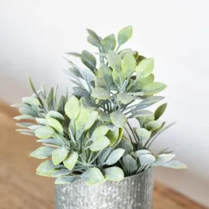 GREEN BUSH