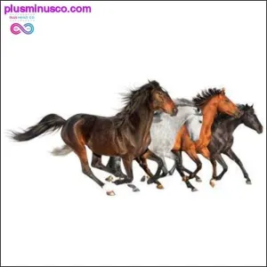 Horses Wall Sticker Vinyl DIY Animal Home Decor Sticker for