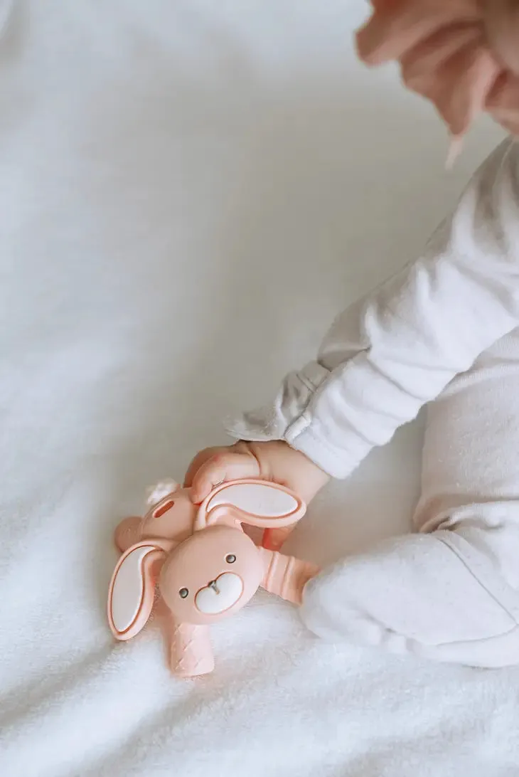 Itzy Ritzy - Baby Molar Teether - Bunny