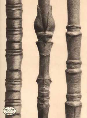 PDXC20180 -- Macro Sepia Tree Twig Three