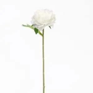 Peony Stem, White