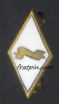 Pi Kappa Phi - Pledge