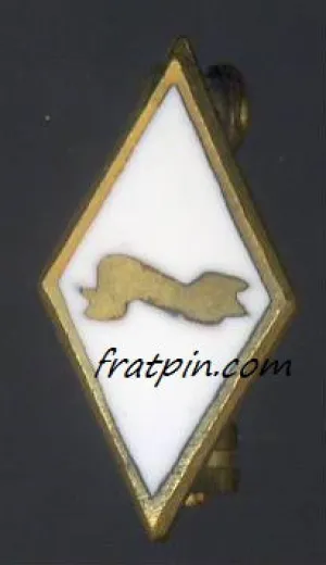 Pi Kappa Phi - Pledge