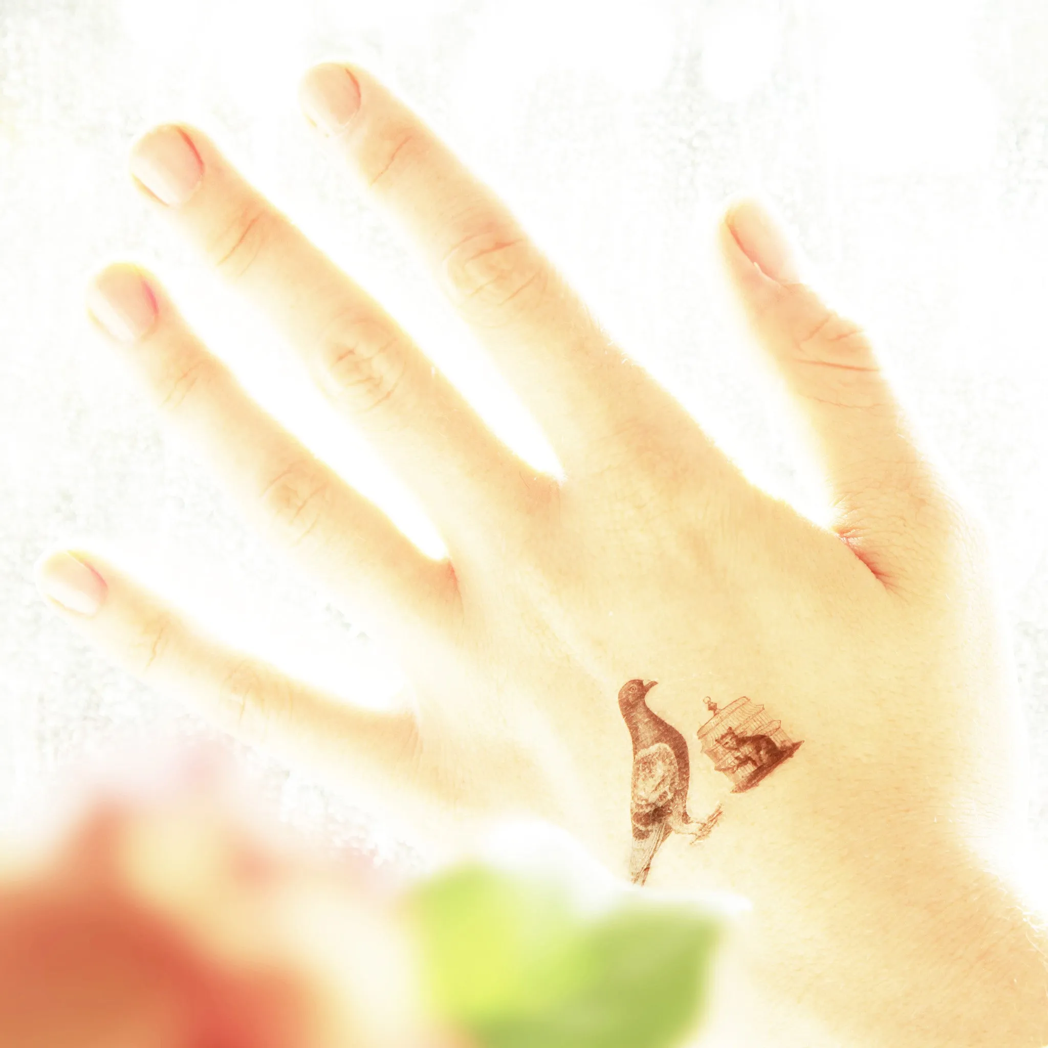 Pigeon's Revenge Temporary Tattoo