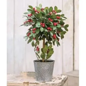 Potted Holly w/Berry Topiary, 18"ft