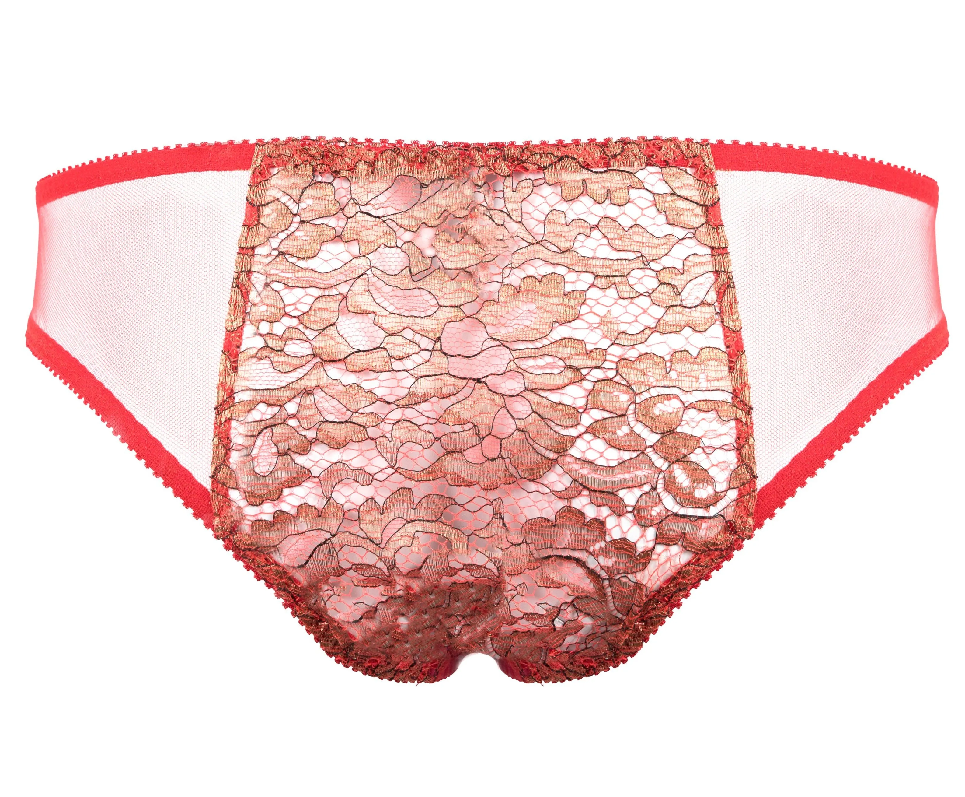 Pure Chemistry Bridal Rani Briefs - PRE ORDER –