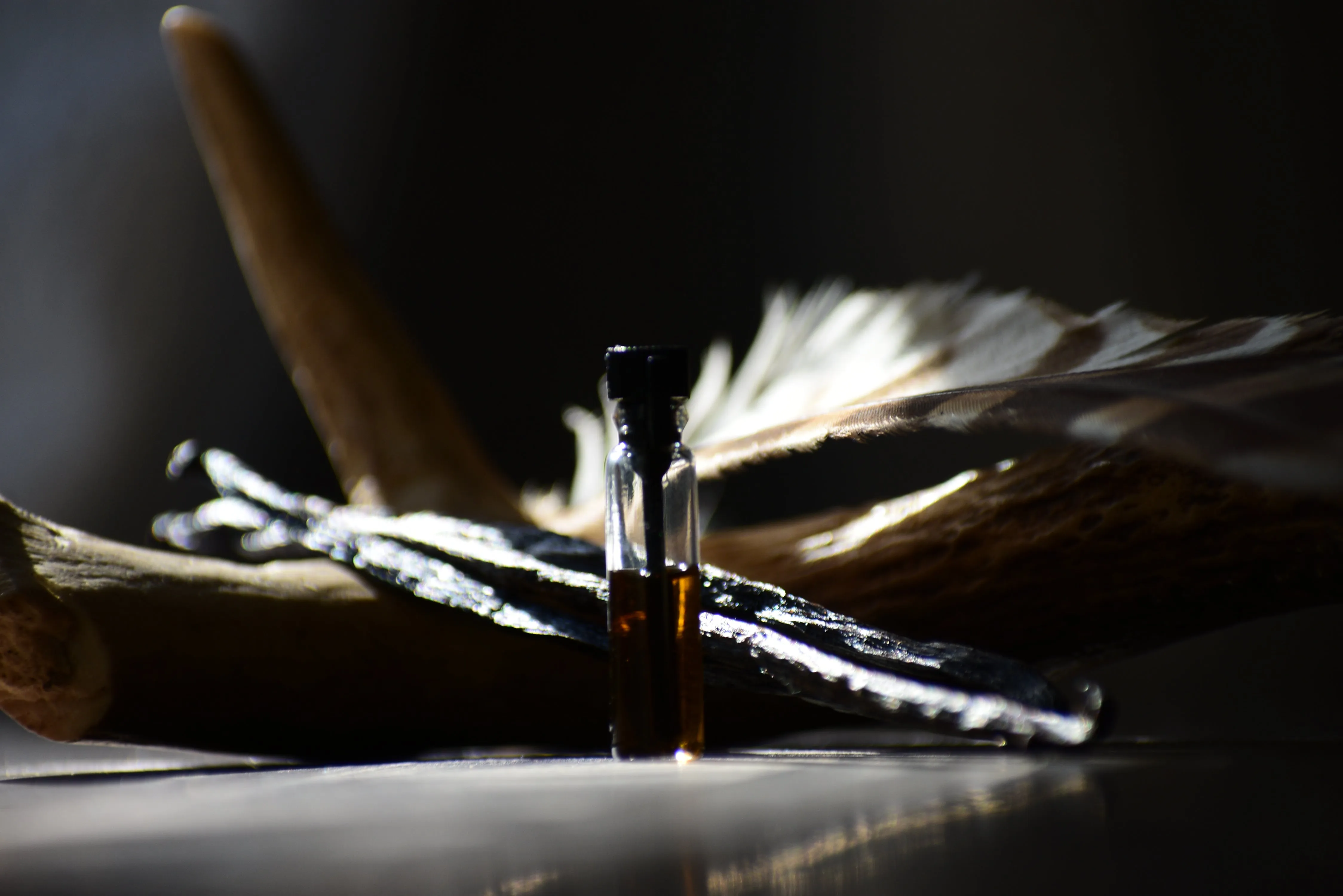 SHAKTI (returns) - Natural Botanical Perfume - The Tribal Calling