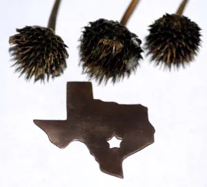 Texas State with Star Perfect Cute Blanks Cutout for Metalworking Stamping Texturing Blank Variety of Metals