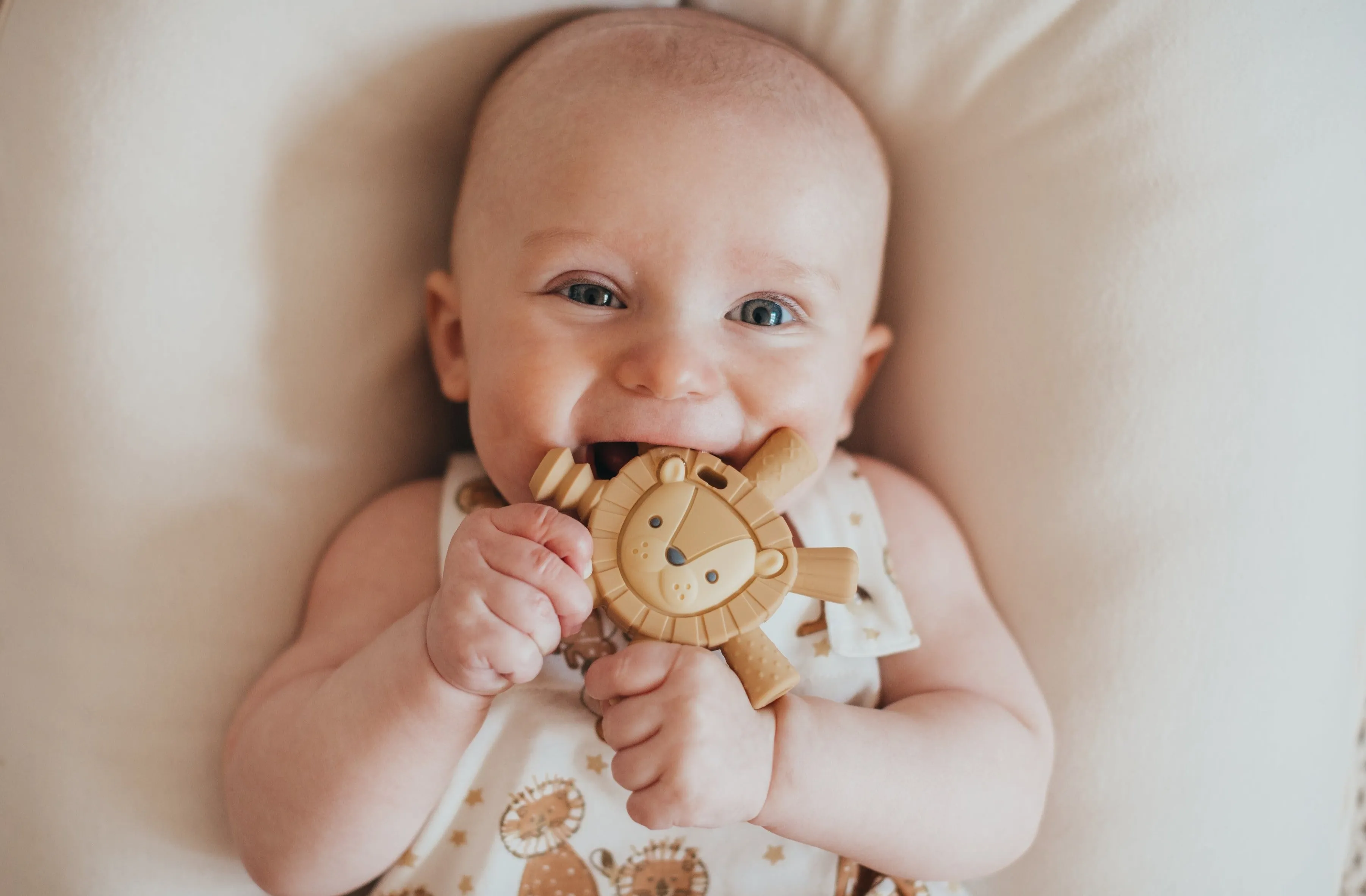 The Ritzy Molar Teether - Lion